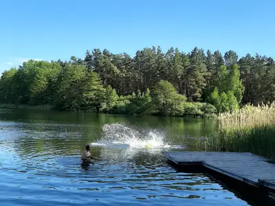 Mobilheim für 4 Personen (48 m²) in Lohmen 4/10