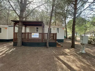 Mobilheim für 7 Personen (29 m²) in Lotzorai 1/10