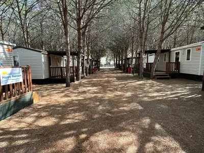 Mobilheim für 7 Personen (29 m²) in Lotzorai 3/10