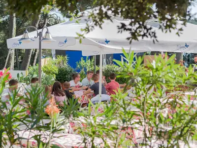 Mobilheim für 4 Personen (22 m²) in Mali Lošinj 4/10