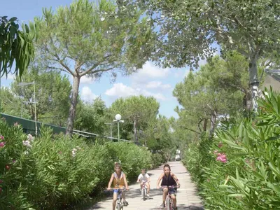 Mobilheim für 7 Personen (30 m²) in Marina Di Bibbona 9/10