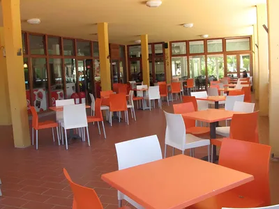 Mobilheim für 7 Personen (30 m²) in Marina Di Bibbona 7/10