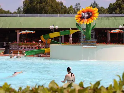 Mobilheim für 7 Personen (32 m²) in Marina Di Bibbona 6/10