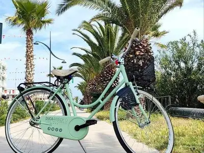 Mobilheim für 5 Personen (24 m²) in Martinsicuro 9/10