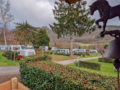 Mobilheim für 4 Personen (18 m²) in Nideggen 2/10