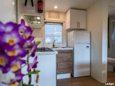 Mobilheim für 5 Personen (30 m²) in Orbetello 1/10
