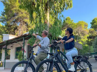 Mobilheim für 5 Personen (25 m²) in Peschici 2/10