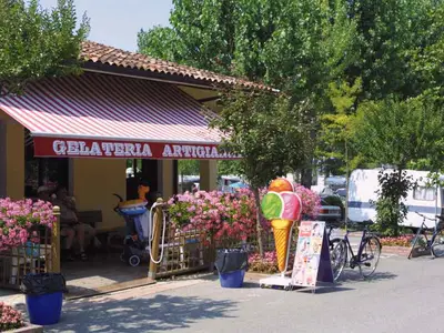 Mobilheim für 7 Personen (29 m²) in Peschiera del Garda 8/10