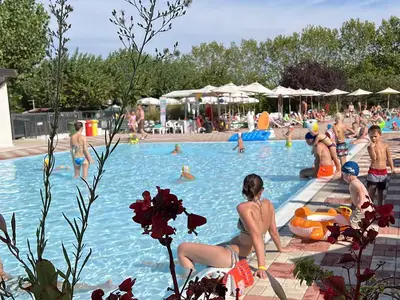 Mobilheim für 4 Personen (24 m²) in Peschiera del Garda 7/10