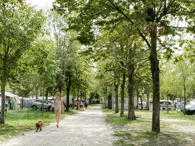Mobilheim für 6 Personen (30 m²) in Pieve Vecchia 4/10