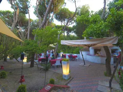Mobilheim für 7 Personen (30 m²) in Rosolina Mare 9/10