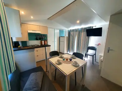 Mobilheim für 6 Personen (33 m²) in Schashagen 3/10