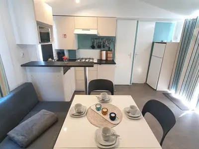 Mobilheim für 6 Personen (33 m²) in Schashagen 5/10