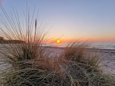 Mobilheim für 5 Personen (40 m²) in Schashagen 10/10