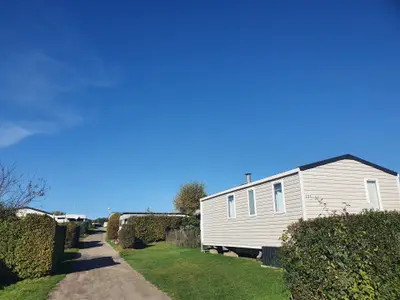 Mobilheim für 4 Personen (31 m²) in Schashagen 2/10