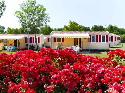 Mobilheim für 6 Personen (33 m²) in Sirmione 1/10