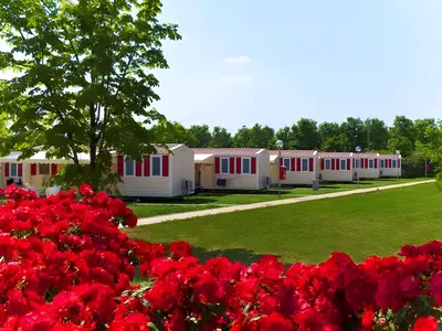 Mobilheim für 6 Personen (33 m²) in Sirmione 4/10