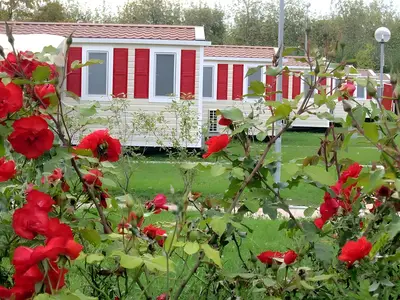 Mobilheim für 6 Personen (33 m²) in Sirmione 5/10