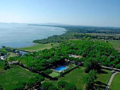 ViewSummer