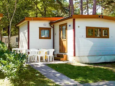 Mobilheim für 5 Personen (31 m²) in Duino Aurisina-Devin Nabreina 1/10