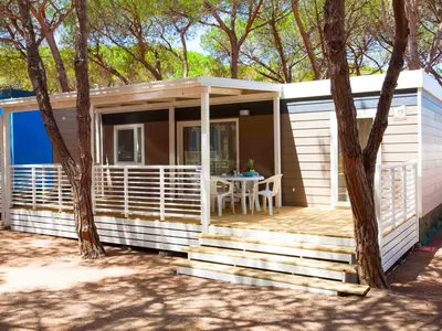 Mobilheim für 6 Personen (33 m²) in Aglientu 1/10