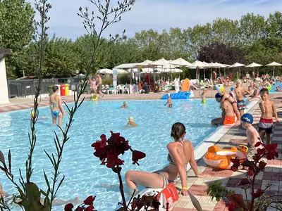 Mobilheim für 6 Personen (32 m²) in Peschiera del Garda 8/10