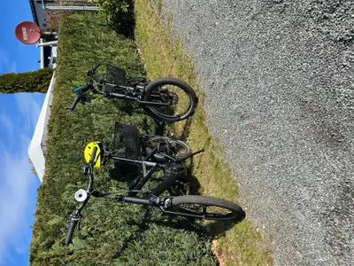 Mobilheim für 3 Personen (24 m²) in Borgdorf-Seedorf 10/10