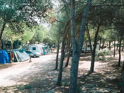 Mobilheim für 5 Personen (24 m²) in Sorso 10/10