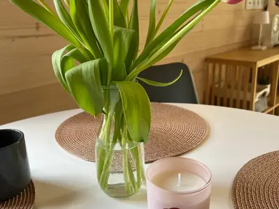 Mobilheim für 4 Personen (33 m²) in Stuer 6/10