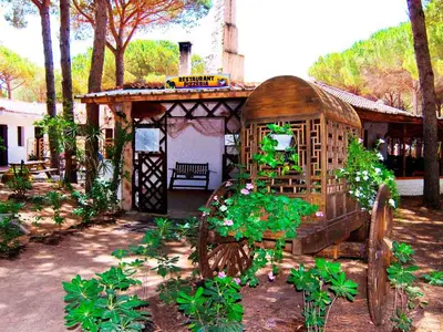 Mobilheim für 5 Personen (24 m²) in Torre del Pozzo 10/10