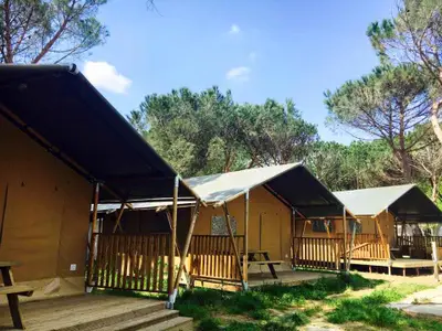 Mobilheim für 4 Personen (35 m²) in Tuoro Sul Trasimeno 3/10 Mobilheim für 4 Personen (35 m²) in Tuoro Sul Trasimeno 3/10