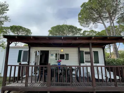 Mobilheim für 6 Personen (40 m²) in Tuoro Sul Trasimeno 1/10 Mobilheim für 6 Personen (40 m²) in Tuoro Sul Trasimeno 1/10