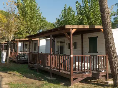 Mobilheim für 6 Personen (40 m²) in Tuoro Sul Trasimeno 3/10 Mobilheim für 6 Personen (40 m²) in Tuoro Sul Trasimeno 3/10