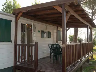 Mobilheim für 6 Personen (40 m²) in Tuoro Sul Trasimeno 2/10 Mobilheim für 6 Personen (40 m²) in Tuoro Sul Trasimeno 2/10