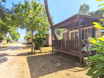 Mobilheim für 6 Personen (24 m²) in Tuoro Sul Trasimeno 1/10