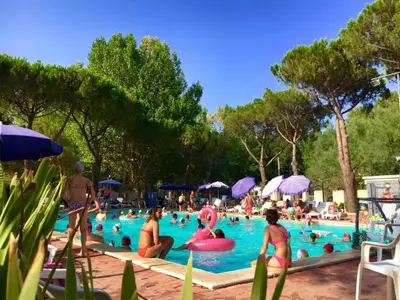 Mobilheim für 6 Personen (24 m²) in Tuoro Sul Trasimeno 8/10