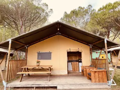 Mobilheim für 4 Personen (35 m²) in Tuoro Sul Trasimeno 5/10