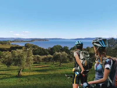 Mobilheim für 4 Personen (35 m²) in Tuoro Sul Trasimeno 6/10