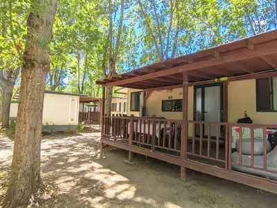 Mobilheim für 6 Personen (24 m²) in Tuoro Sul Trasimeno 1/10