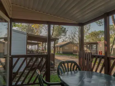 Mobilheim für 6 Personen (40 m²) in Tuoro Sul Trasimeno 3/10