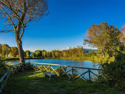 Mobilheim für 6 Personen (24 m²) in Tuoro Sul Trasimeno 1/10