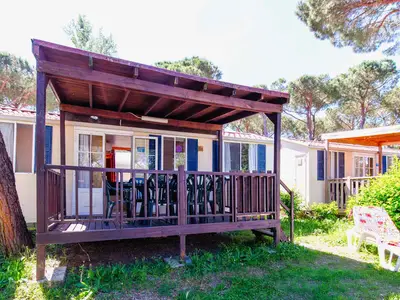 Mobilheim für 6 Personen (24 m²) in Tuoro Sul Trasimeno 3/10