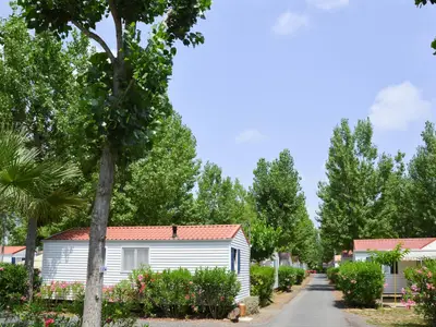 ParkFacilities