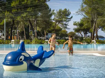 Mobilheim für 4 Personen (36 m²) in Vrsar 8/10