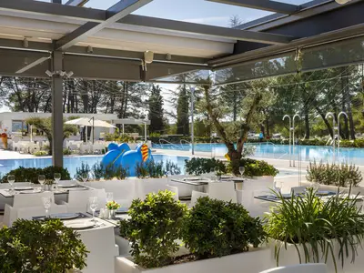 Mobilheim für 4 Personen (32 m²) in Vrsar 1/10