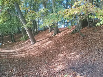 Mobilheim für 4 Personen (38 m²) in Wittenborn 9/10