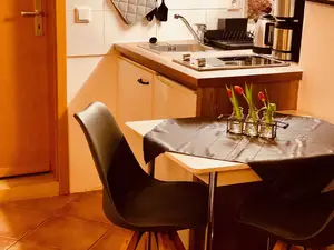 Reihenhaus für 1 Person (16 m²) in Görlitz