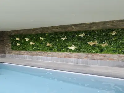 PoolOfHouse