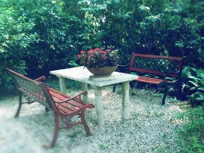 GardenSummer