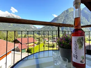 Studio für 3 Personen (30 m²) in Bach (Tirol)